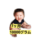 ryoma.nanakagetsu（個別スタンプ：8）