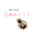 こんにちは アロハガール（個別スタンプ：11）