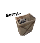NO PUG NO LIFE.（個別スタンプ：10）