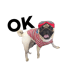 NO PUG NO LIFE.（個別スタンプ：14）