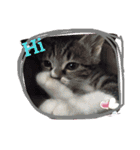 やんちゃな猫兄弟（個別スタンプ：3）