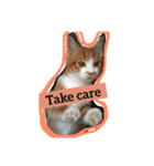 やんちゃな猫兄弟（個別スタンプ：4）