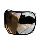 やんちゃな猫兄弟（個別スタンプ：14）