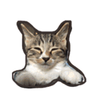 やんちゃな猫兄弟（個別スタンプ：18）