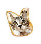 やんちゃな猫兄弟（個別スタンプ：22）