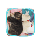 やんちゃな猫兄弟（個別スタンプ：24）