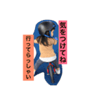 ゆのスタンプ54 2（個別スタンプ：8）