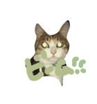 cheer up cats（個別スタンプ：3）