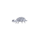 ただし画伯の生物画展（個別スタンプ：29）
