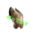 我が家の可愛いインコ達のスタンプです（個別スタンプ：12）