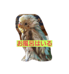 我が家の可愛いインコ達のスタンプです（個別スタンプ：13）