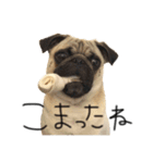 NO PUG NO LIFE その2（個別スタンプ：18）