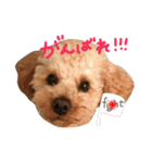 まるぷーのそら（個別スタンプ：5）