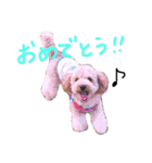 まるぷーのそら（個別スタンプ：6）