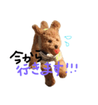 まるぷーのそら（個別スタンプ：7）