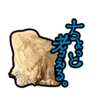フトアゴヒゲトカゲの黒龍（個別スタンプ：21）