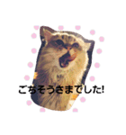 きよまろライフ（個別スタンプ：2）