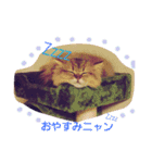 きよまろライフ（個別スタンプ：6）