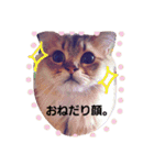 きよまろライフ（個別スタンプ：7）