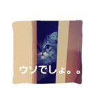きよまろライフ（個別スタンプ：9）