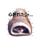 きよまろライフ（個別スタンプ：10）