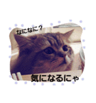 きよまろライフ（個別スタンプ：14）
