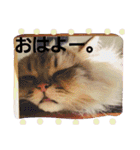 きよまろライフ（個別スタンプ：25）