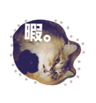 きよまろライフ（個別スタンプ：30）