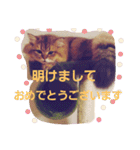 きよまろライフ（個別スタンプ：32）