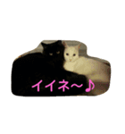 猫とチョイ兎（個別スタンプ：1）