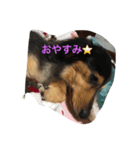 I am zakuro（個別スタンプ：2）