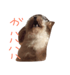りくとの毎日（個別スタンプ：1）