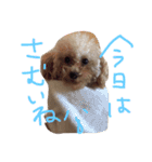 りくとの毎日（個別スタンプ：2）