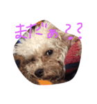 りくとの毎日（個別スタンプ：4）