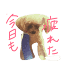 りくとの毎日（個別スタンプ：5）