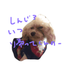 りくとの毎日（個別スタンプ：6）