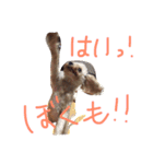 りくとの毎日（個別スタンプ：8）