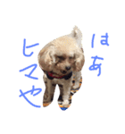 りくとの毎日（個別スタンプ：9）