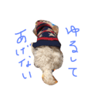 りくとの毎日（個別スタンプ：11）