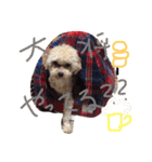 りくとの毎日（個別スタンプ：15）
