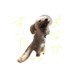 りくとの毎日（個別スタンプ：16）