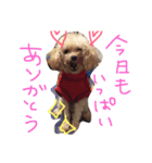 りくとの毎日（個別スタンプ：17）