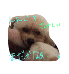 りくとの毎日（個別スタンプ：18）