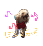 りくとの毎日（個別スタンプ：24）
