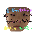 きゃんとてん（個別スタンプ：3）