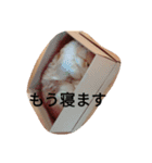 鶴田 チョコ（個別スタンプ：2）