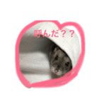 はむかつのまいにち（個別スタンプ：1）