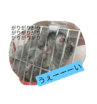 はむかつのまいにち（個別スタンプ：7）