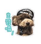 Ping ＆ Qman（個別スタンプ：17）