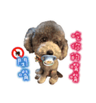 Ping ＆ Qman（個別スタンプ：22）